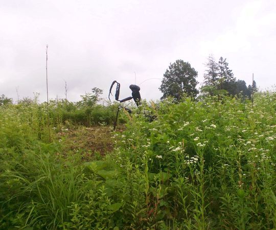 1000円グルメの日々in宇都宮