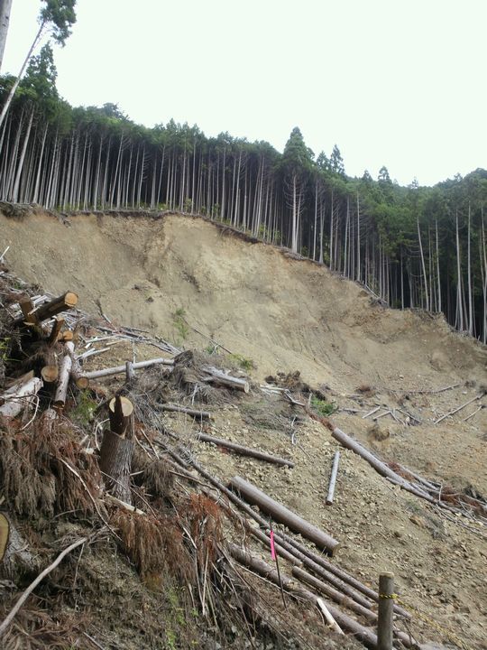 1000円グルメの旅 from 宇都宮 to 47都道府県