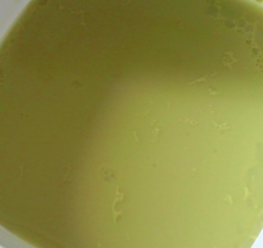 1000円グルメの旅 from 宇都宮 to 47都道府県