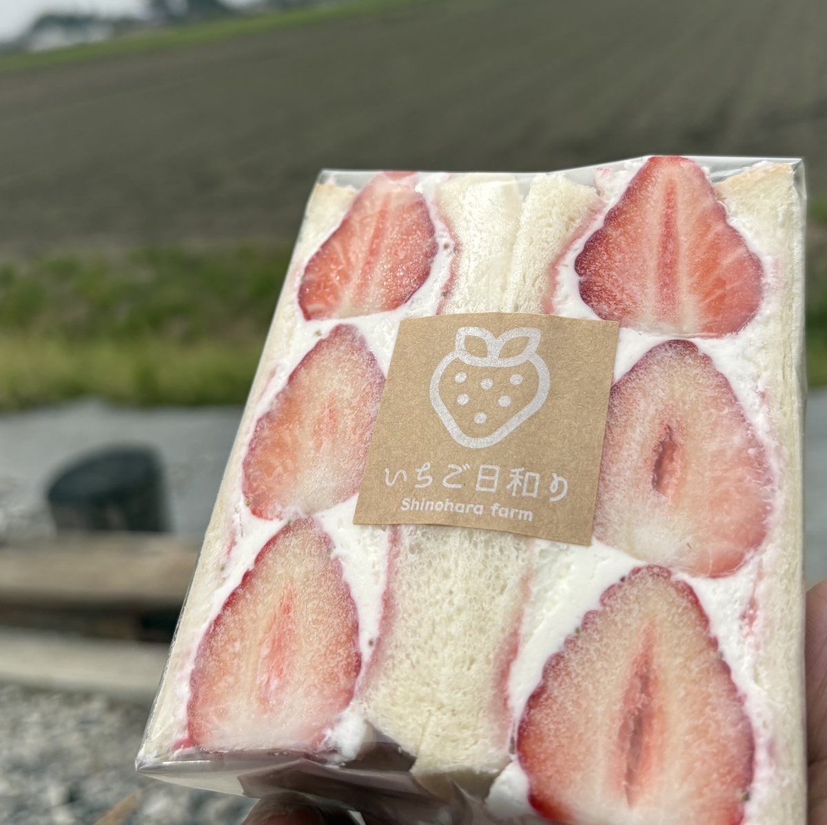 ①　いちごパフェ☆ 2021 下半期 いちごパフェまとめ】 □ HEI BAKE&GRILL MARKET