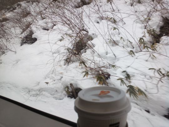 1000円グルメの旅　from 宇都宮　to 47都道府県