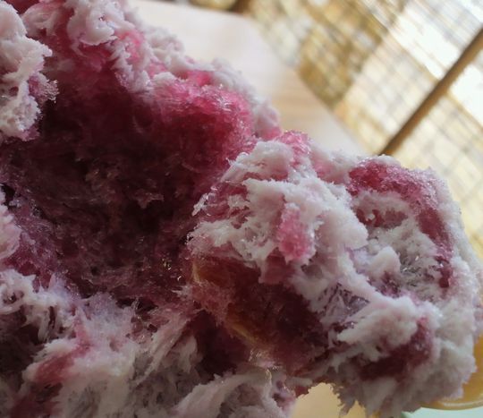 1000円グルメの旅　from 宇都宮　to 47都道府県