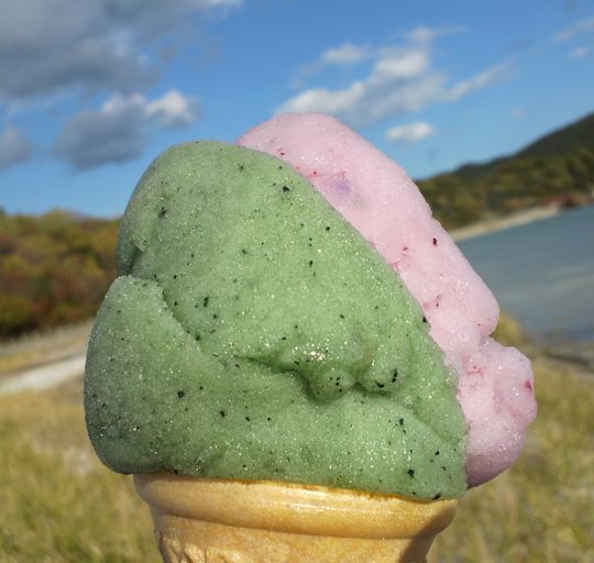 1000円グルメの旅　from 宇都宮　to 47都道府県