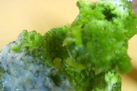 1000円グルメの旅　from 宇都宮　to 47都道府県