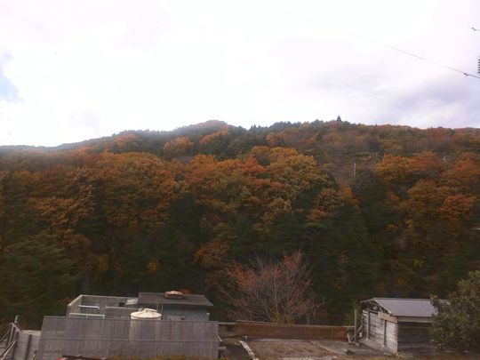 1000円グルメの旅　from 宇都宮　to 47都道府県