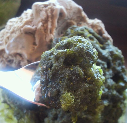 1000円グルメの日々in宇都宮