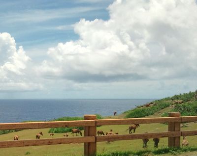 1000円グルメの日々in宇都宮