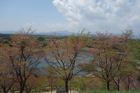 DSC00630