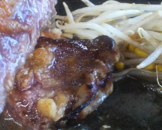 1000円グルメの日々in宇都宮