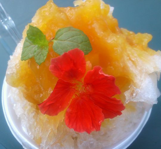 1000円グルメの旅 from 宇都宮 to 47都道府県