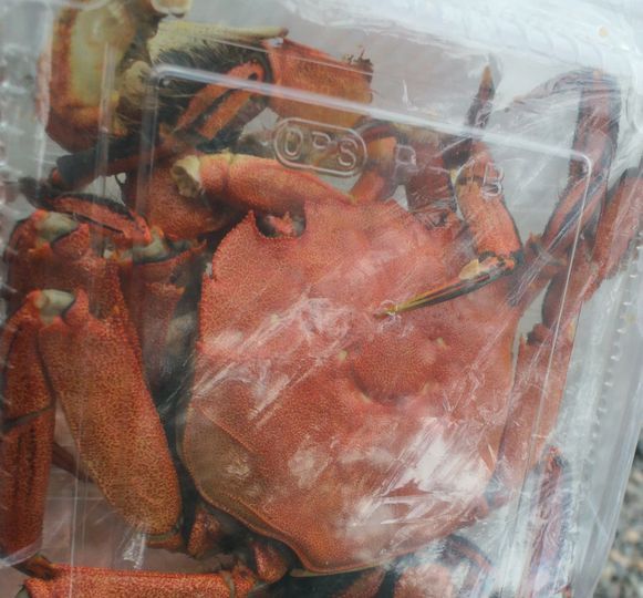 1000円グルメの旅 from 宇都宮 to 47都道府県