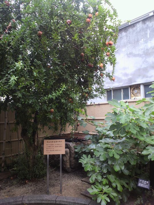 1000円グルメの旅　from 宇都宮　to 47都道府県