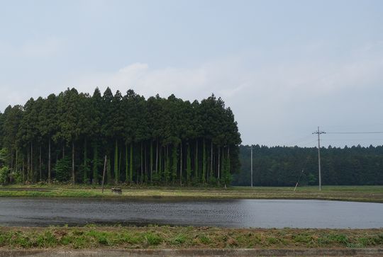 DSC00892