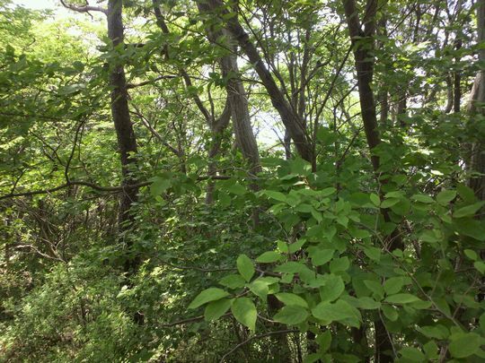 1000円グルメの旅 from 宇都宮 to 47都道府県