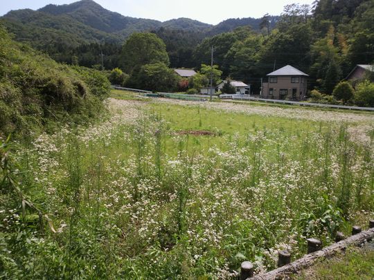 1000円グルメの旅 from 宇都宮 to 47都道府県
