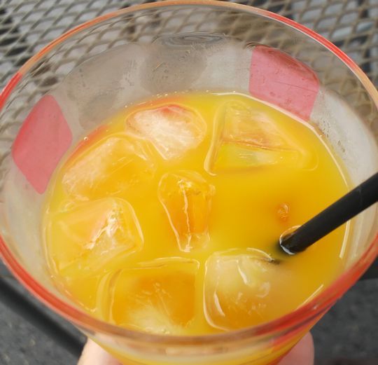 1000円グルメの旅　from 宇都宮　to 47都道府県