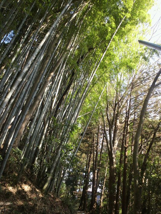 1000円グルメの旅 from 宇都宮 to 47都道府県