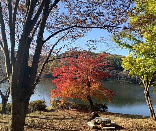 2019-11-17 08.52.01