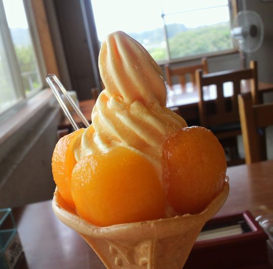 1000円グルメの旅 from 宇都宮 to 47都道府県