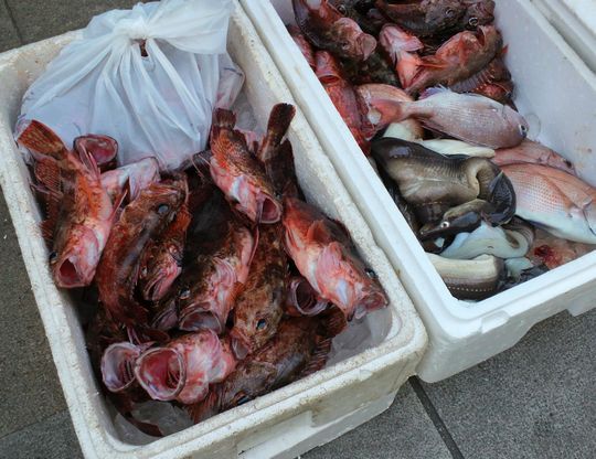 1000円グルメの旅　from 宇都宮　to 47都道府県