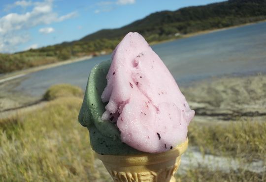 1000円グルメの旅　from 宇都宮　to 47都道府県