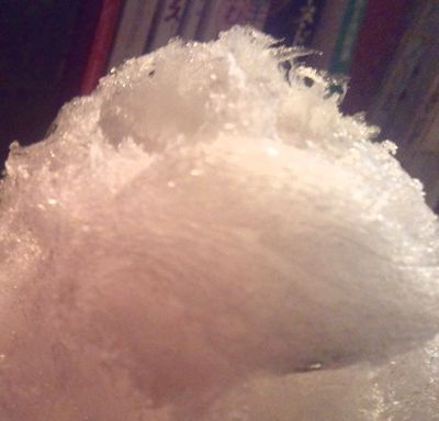 1000円グルメの日々in宇都宮