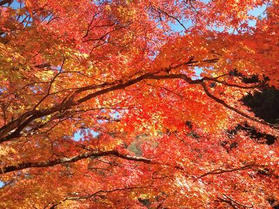 1000円グルメの日々in宇都宮