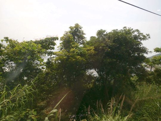 1000円グルメの旅　from 宇都宮　to 47都道府県