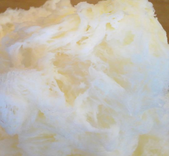 1000円グルメの旅 from 宇都宮 to 47都道府県