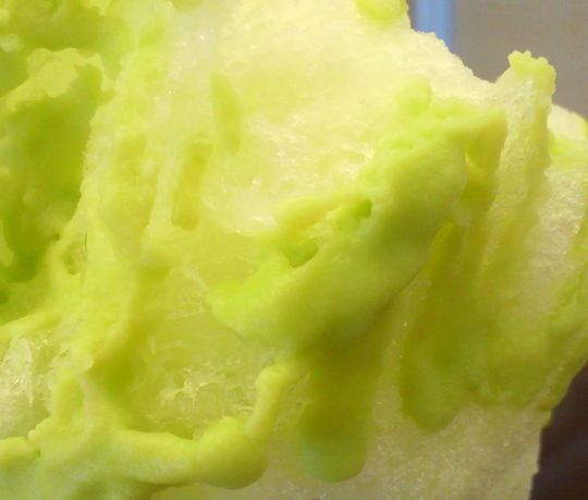 1000円グルメの旅 from 宇都宮 to 47都道府県