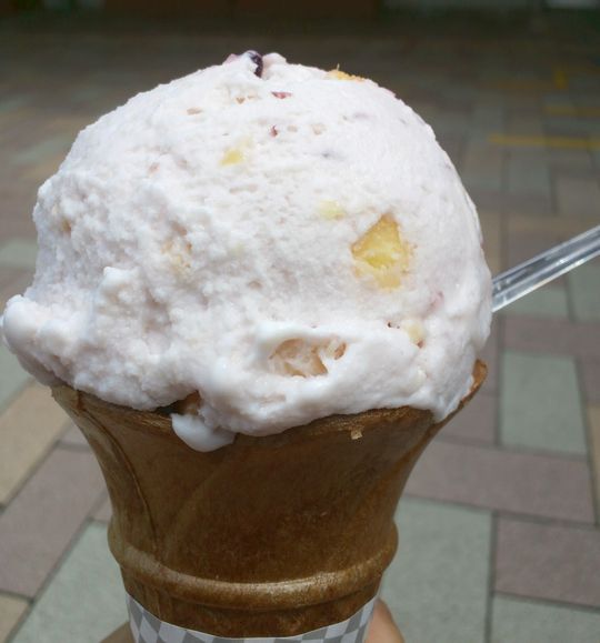 1000円グルメの旅　from 宇都宮　to 47都道府県