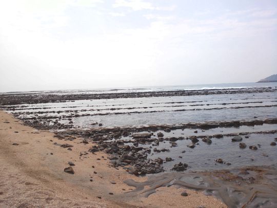 1000円グルメの旅　from 宇都宮　to 47都道府県