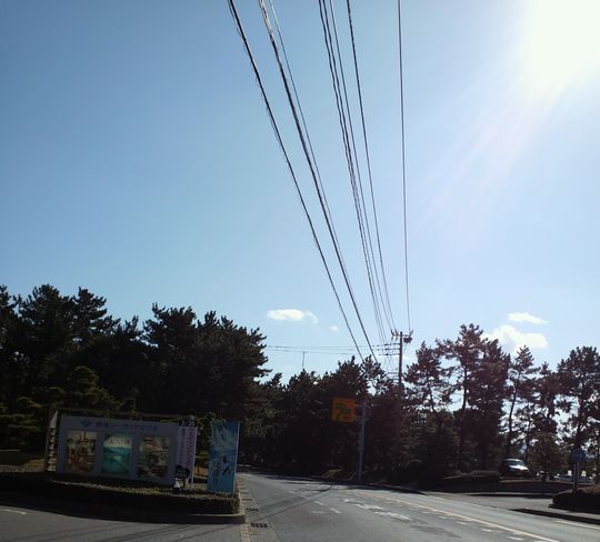 1000円グルメの旅　from 宇都宮　to 47都道府県