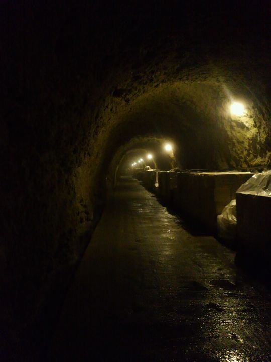 1000円グルメの旅 from 宇都宮 to 47都道府県