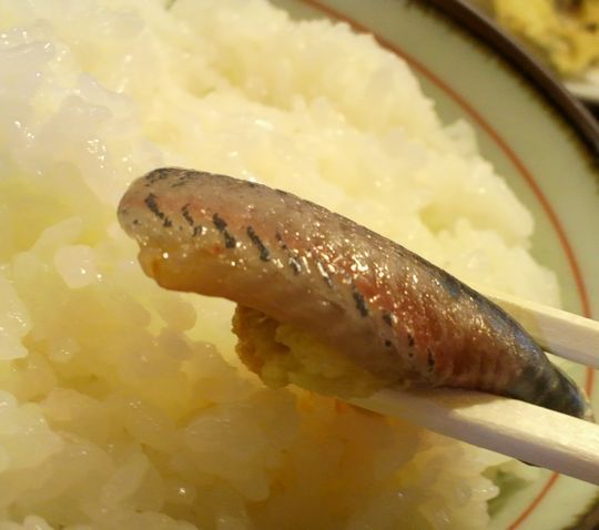 1000円グルメの旅 from 宇都宮 to 47都道府県