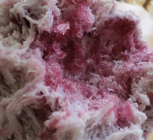 1000円グルメの旅　from 宇都宮　to 47都道府県