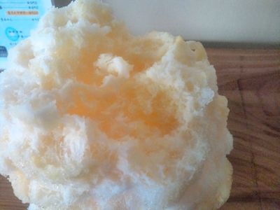 1000円グルメの日々in宇都宮