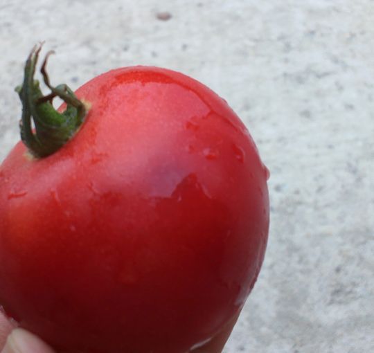 1000円グルメの旅 from 宇都宮 to 47都道府県