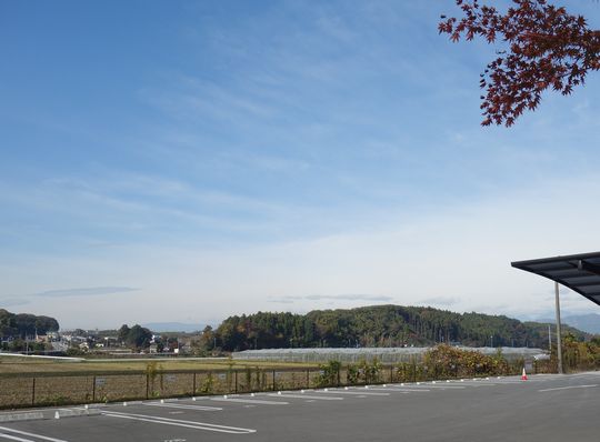 DSC06555