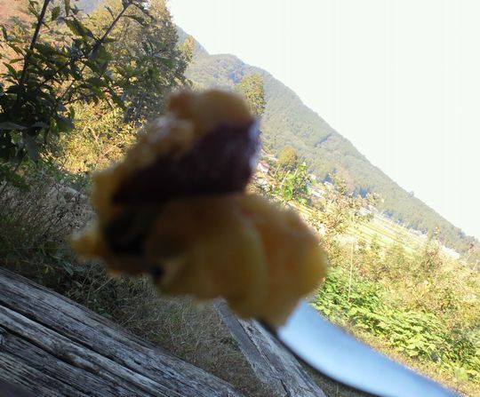 1000円グルメの旅 from 宇都宮 to 47都道府県