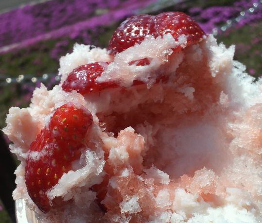 1000円グルメの旅 from 宇都宮 to 47都道府県