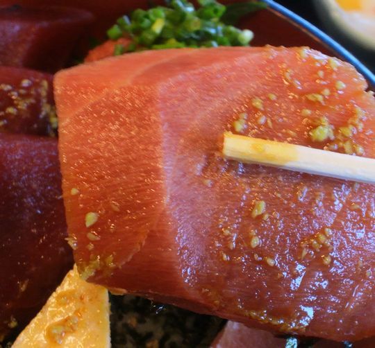 1000円グルメの旅　from 宇都宮　to 47都道府県