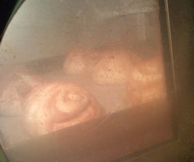 1000円グルメの日々in宇都宮