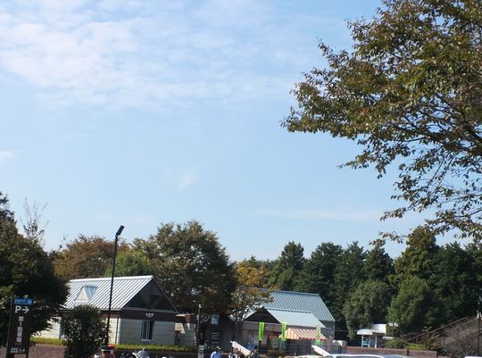 1000円グルメの旅　from 宇都宮　to 47都道府県