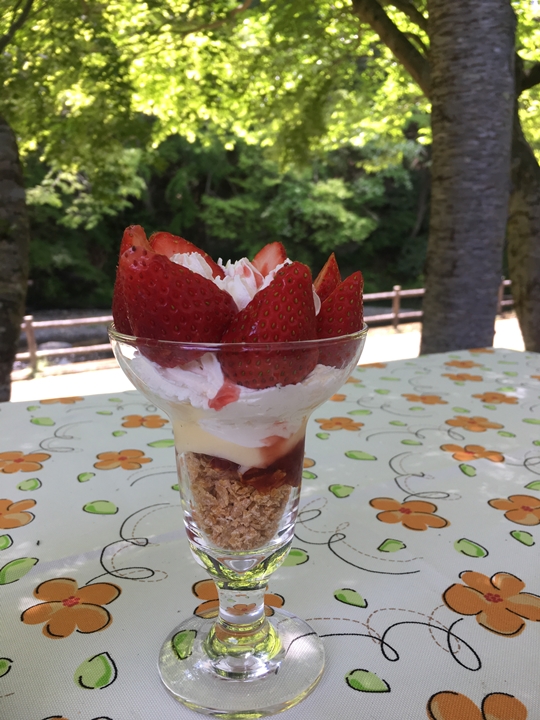 2019-05-04 10.42.30-1