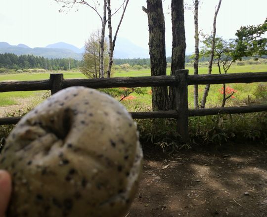 1000円グルメの旅　from 宇都宮　to 47都道府県