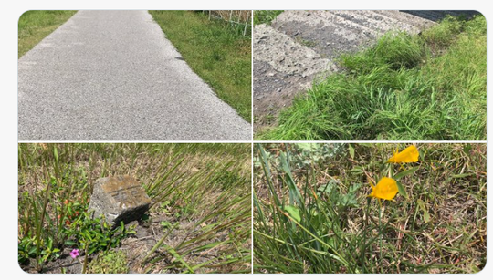 スクリーンショット 2024-04-23 224959