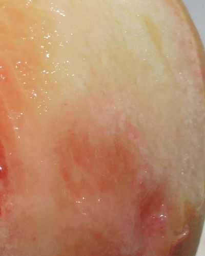 1000円グルメの日々in宇都宮