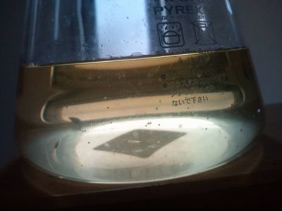 1000円グルメの日々in宇都宮