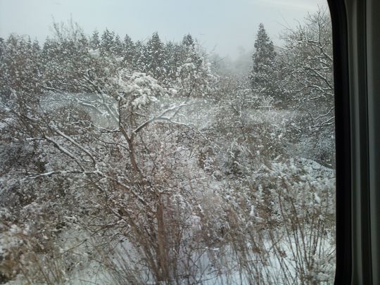 1000円グルメの日々in宇都宮